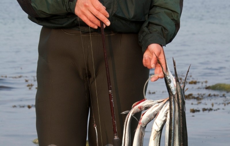 Trei pescari şi-au riscat libertatea pentru patru kilograme de peşte