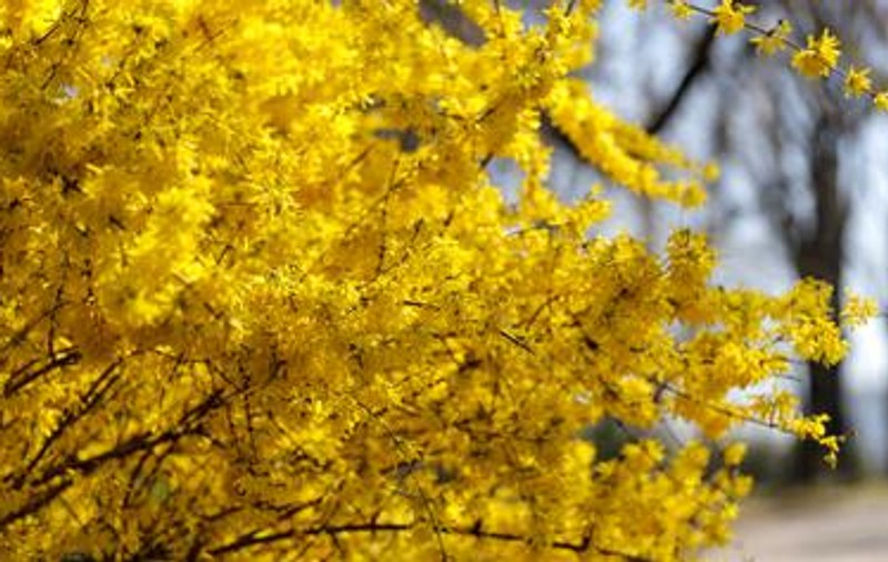 Cum va fi vremea vineri, 3 mai 2019. Continuă să se încălzească