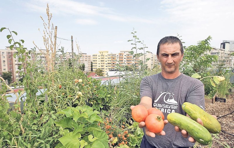Cultivă legume pe acoperiş