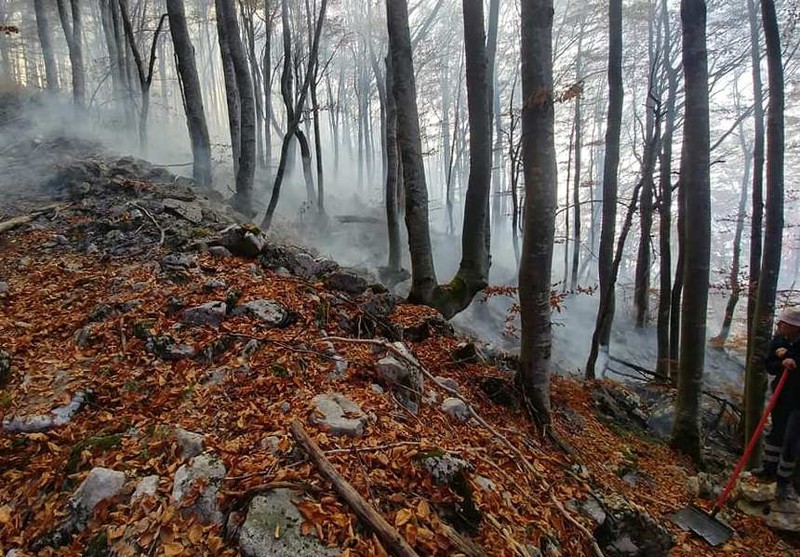 Pompieri din două județe se lupă cu flăcările