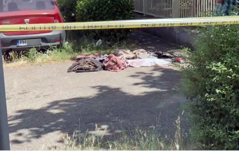 Ce spun specialiștii în cazul pseudo-crimei de la Ploiești cu victimă o Rosemary Doll: „Abandonarea anchetei ar fi o gravă eroare”. Ce îi intrigă pe polițiști