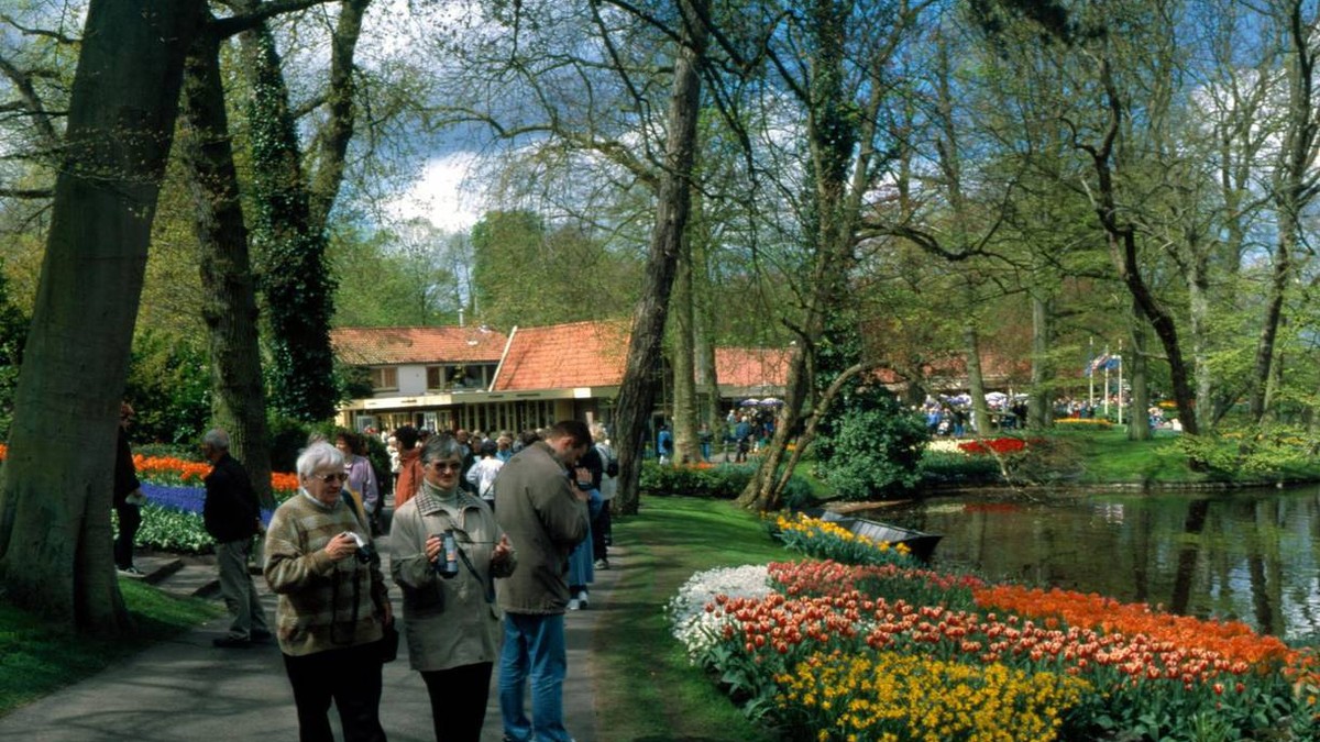 Arhiva foto