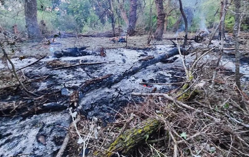 Dronă prăbușită în România, în zona Grindu, după atacurile Rusiei asupra porturilor ucrainene