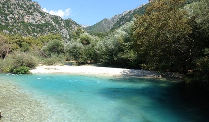 Arhiva foto