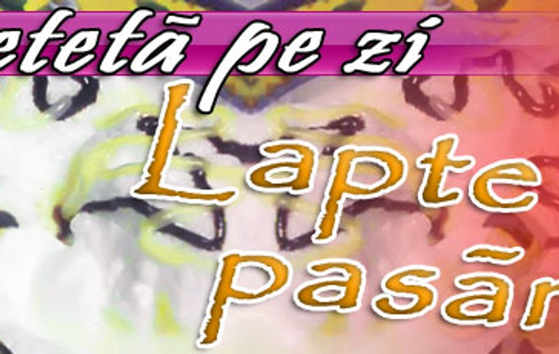 O reţetă pe zi / Lapte de pasăre