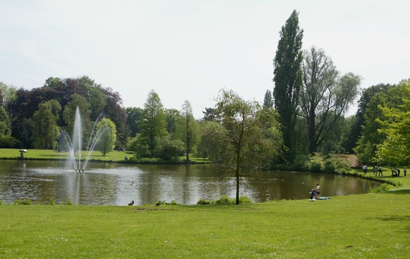 Român condamnat după ce și-a chemat soția și copiii în vizită în Belgia, unde muncea, a dus-o pe femeie în parc, a dezbrăcat-o și a umilit-o