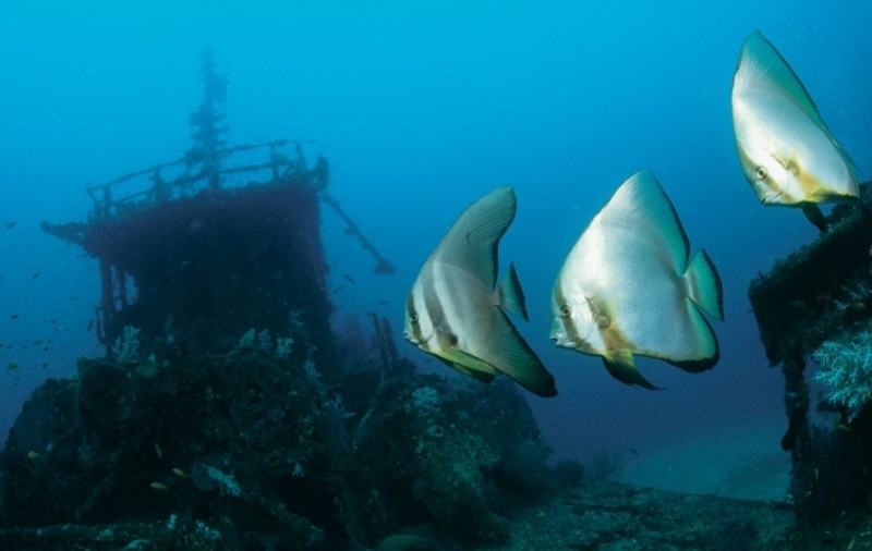 Enigmatica Atlantida, căutată neîncetat
