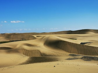 Dunele de nisip din sudul Gran Canaria oferă oferă un loc de odihnă pentru păsările care migrează din Africa | Foto: Libertatea