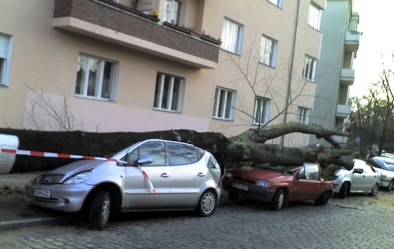 Furtună violentă în Germania, soldată cu un mort și doi răniți. Un bărbat a murit, după ce un copac a căzut peste mașina sa