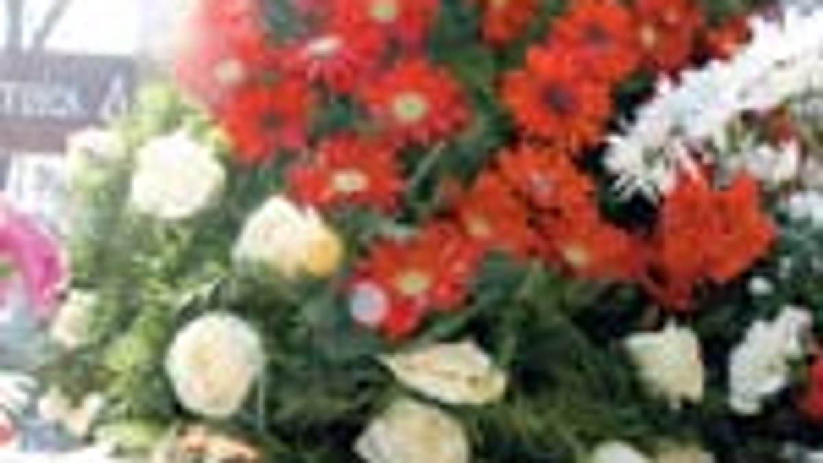 Arhiva foto