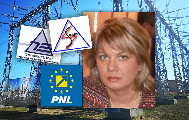 PNL a plasat o fostă șefă la piețe în Sectorul 4 director general într-o companie strategică din electricitate