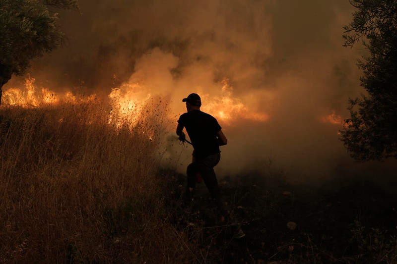 Un localnic încearcă să stingă incendiilor pe insula EviaFoto: EPA-EFE/KOSTAS TSIRONIS