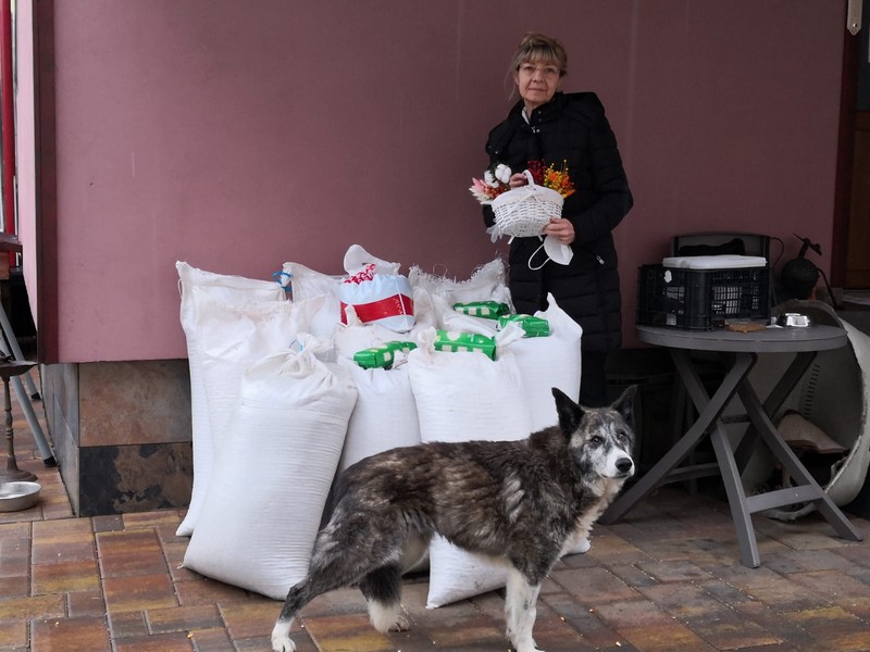 Cristina Lapis, președinta Asociației Milioane de Prieteni. Foto: AMP Libearty / Facebook