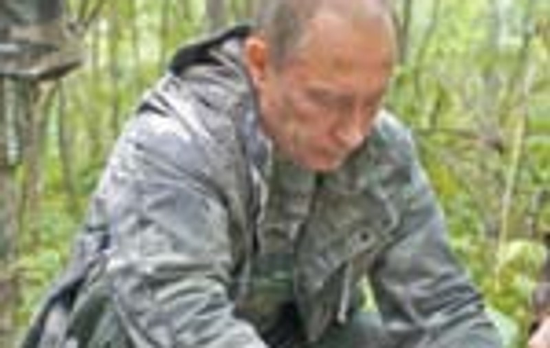 Putin a doborat un tigru