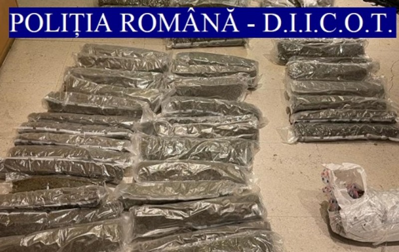 Măsurile anunțate de Ministerul de Interne pentru a preveni traficul sau consumul de droguri