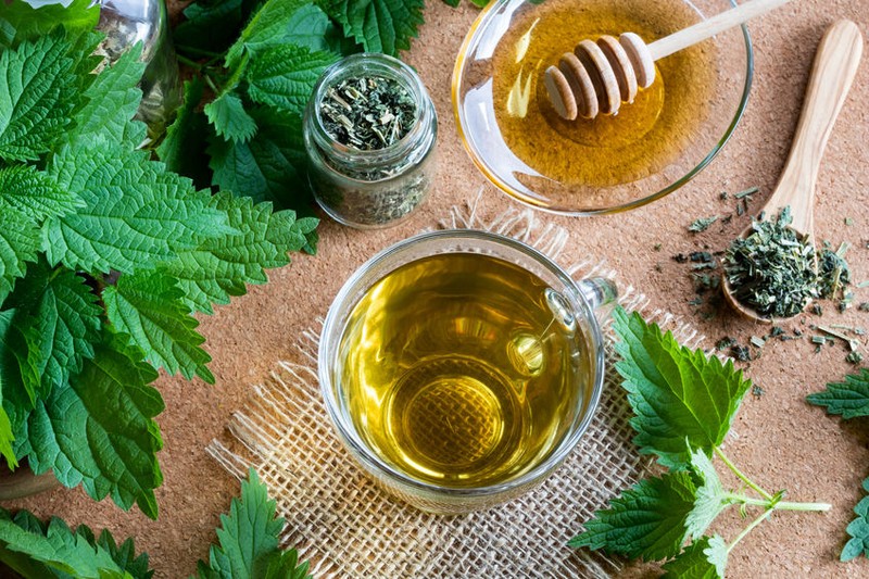 Urzici uscate - ceai, infuzie de urzici