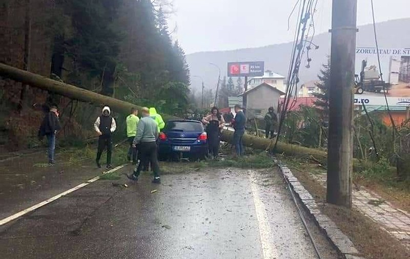 Un copac a căzut peste o maşină aflată în mers, pe DN 1, la Azuga