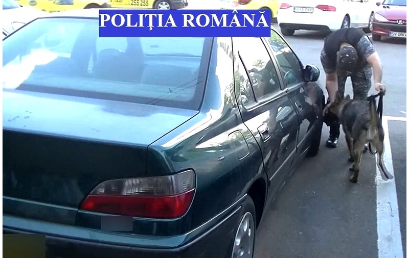 Țigări de contrabandă au fost descoperite de un câine polițist, într-o piață din Iași. Acada le-a mirosit din portbagaj