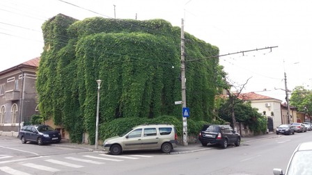 Arhiva foto
