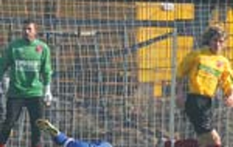 Lobont e seful 'cainilor'