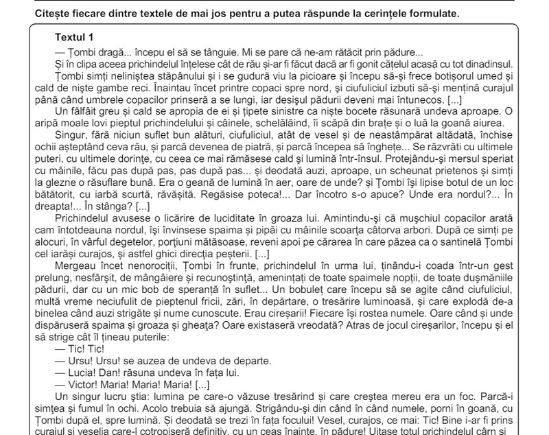 Subiectele la Română la Evaluarea Națională 2024. Cerințele pe care le-au avut de rezolvat absolvenții de clasa a VIII-a