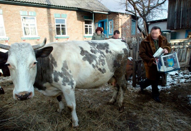 Arhiva foto