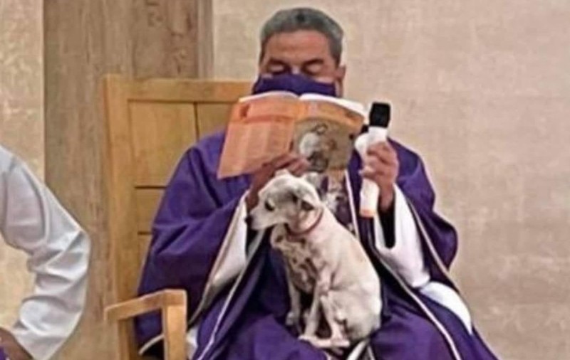 Un preot din Mexic a ţinut o liturghie cu căţelul în braţe: „Dacă îl las acasă, se întristează”
