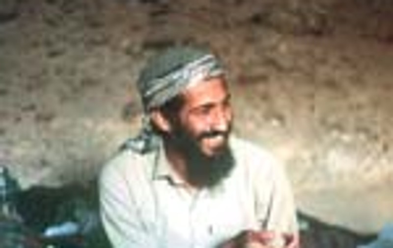 Bin Laden, ucis de febra tifoida?