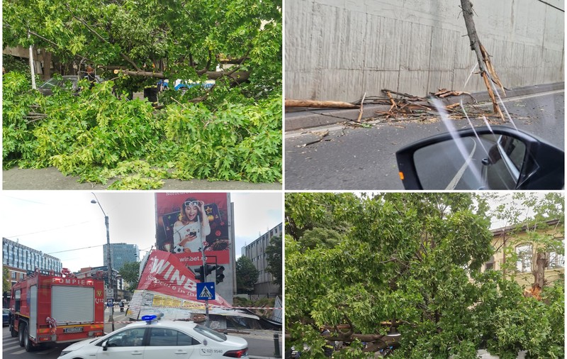 O persoană rănită de un copac și mai multe pagube în București, după codul galben de vânt
