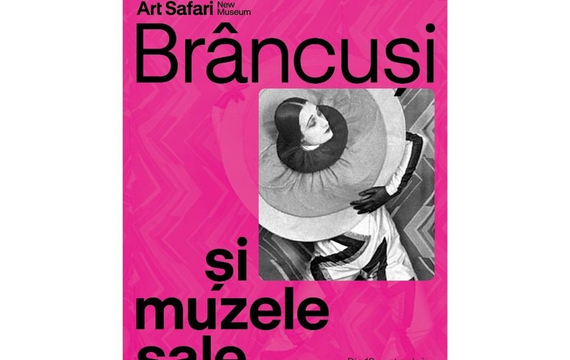 Expozitie Brancusi si muzeele sale