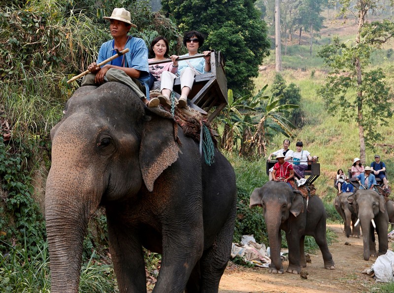 Turiști chinezi în Chiang Mai, Thailanda
