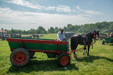 Un localnic participă la târgul tradițional cu căruța din dotare