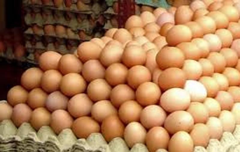 Ouă cu Salmonella în supermarketuri. Produsele au fost retrase de la vânzare