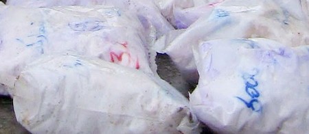 Arhiva foto