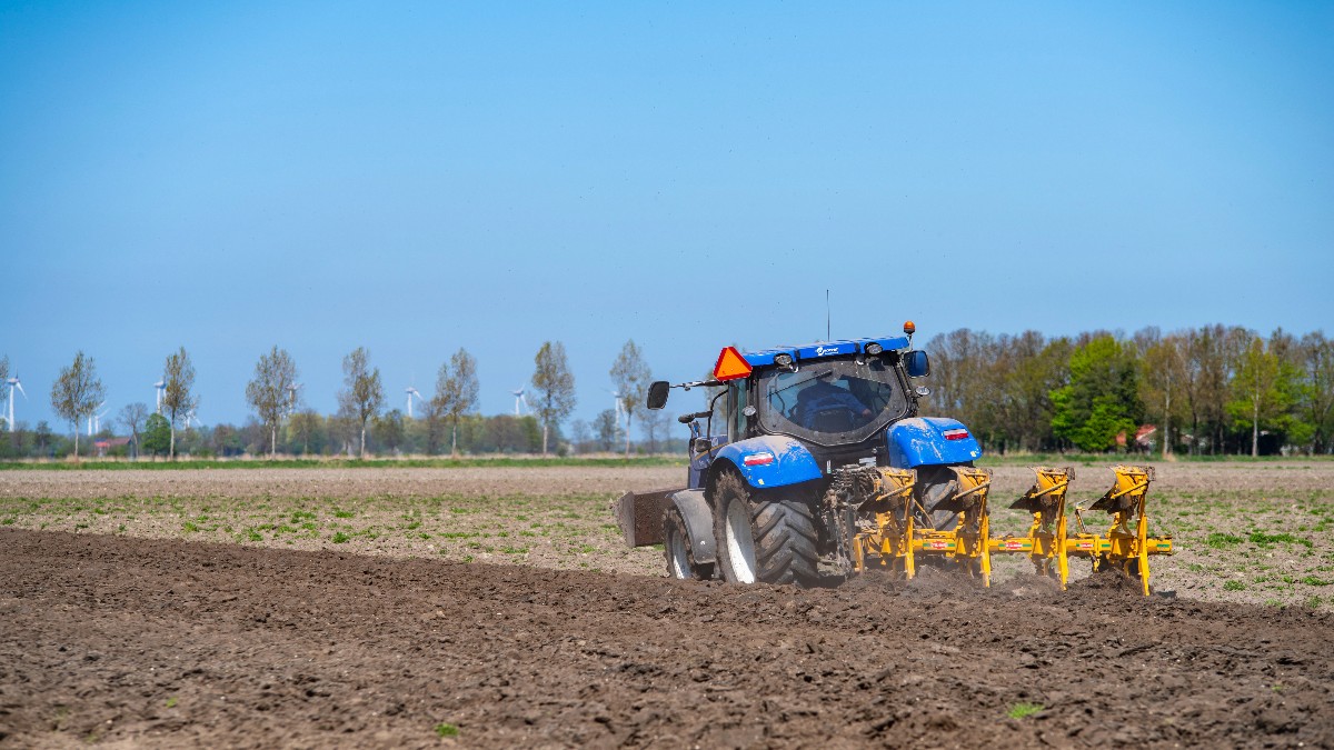 Jafuri în serie la ferme olandeze făcute de cetățeni români Foto: Profimedia Images