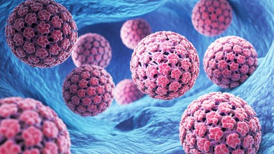 virus-hpv-papilomavirus-uman
