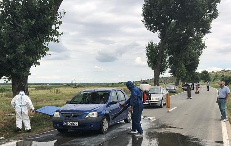 Stare de alertă în județul Tulcea. Pesta porcină africană afectează oamenii de rând, dar și marele producător Carniprod/ FOTO