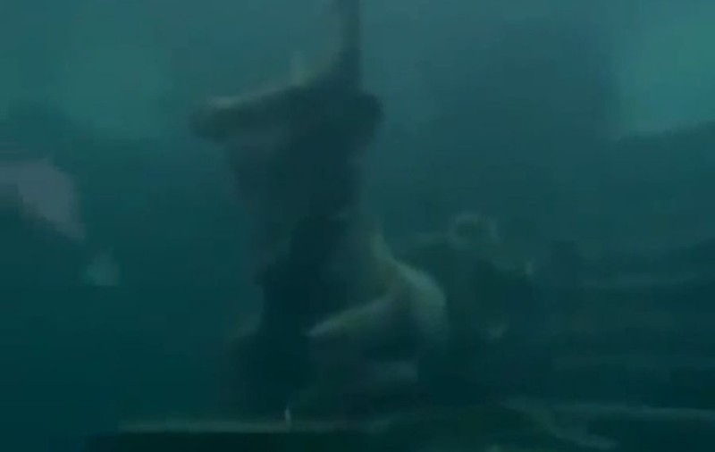 DESCOPERIRE ULUITOARE în MAREA BALTICĂ! Cercetătorii au GĂSIT RELICVE ce datează din EPOCA DE PIATRĂ