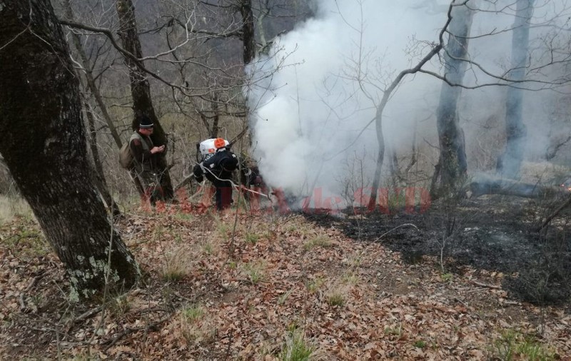 Incendiul de pădure din Brezoi blochează traficul. Flăcările au ajuns la câteva sute de metri de DN7