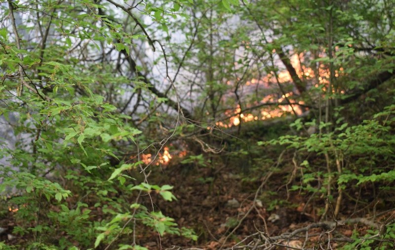 FOTO/ Incendiul din Parcul National Domogled - Valea Cernei s-a întins pe 3 hectare, într-o zonă imposibil de ajuns pe jos