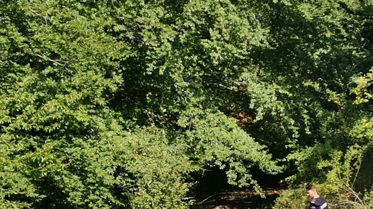 Arhiva foto