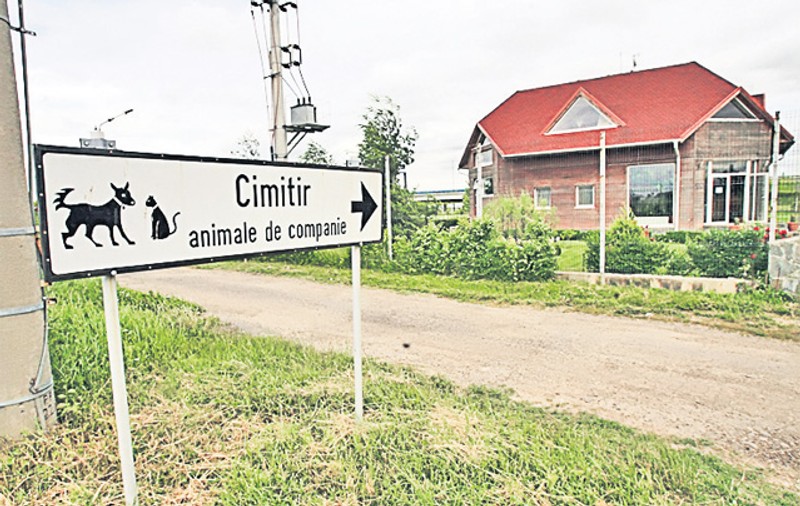 Cimitir pentru animalele de companie la Caransebeș