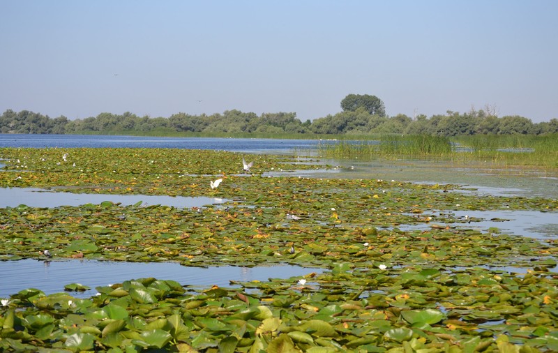 O excursie fantastică în Delta Dunării