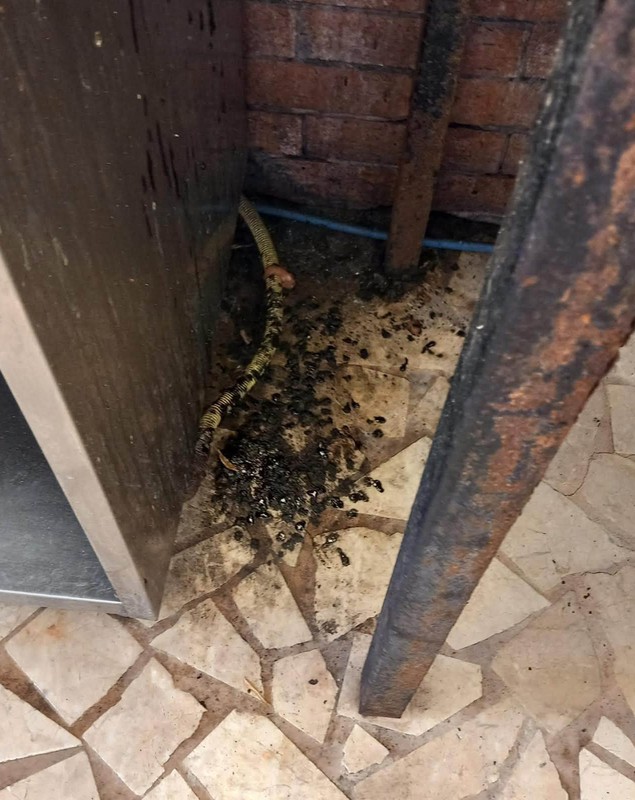 Camere cu mucegai, piscine periculoase și mâncare expirată. Comisarii ANPC au dat amenzi uriașe pe litoral în plin sezon estival