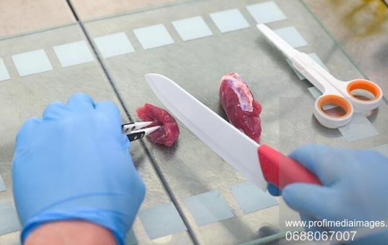 Autoritățile din Statele Unite anunță că produsele din carne crescută în laborator sunt „sigure pentru consum”