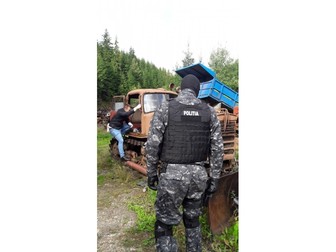 Percheziții în Maramureș, la hoții de lemne, pe 5 septembrie 2017