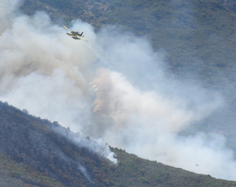 Incendiu uriaș de vegetație în vestul Spaniei. Peste 700 de săteni evacuați și mii de hectare distruse