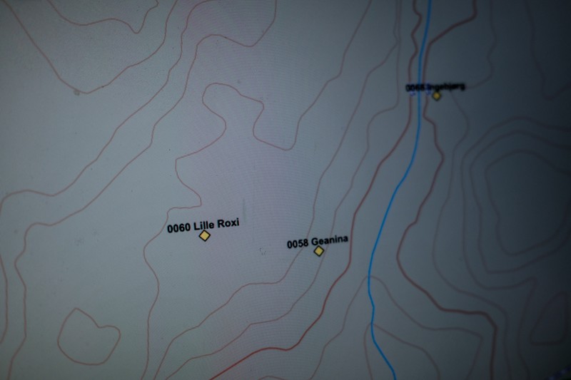 Vacile din pădure localizate pe ecranul laptopului Roxanei. Ferma Ramstad, Prestfoss, Norvegia