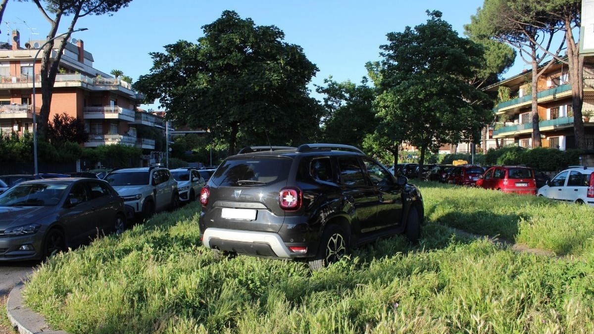 mașina dacia duster neagră, parcată pe iarbă