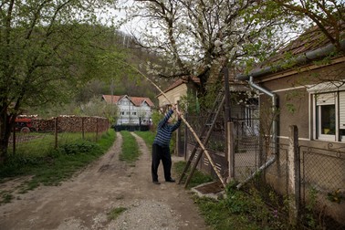 Noul copac se potrivește în poarta casei unde va rămâne pentru încă un an Foto: Vlad Chirea
